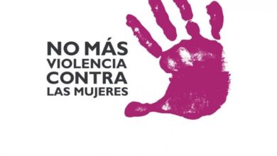 Observatorio de la Violencia de género.