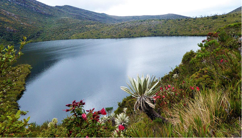 parque-nacional-chingaza