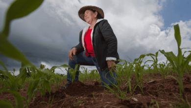 Mujer rural