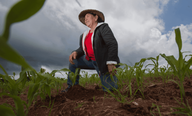 Mujer rural