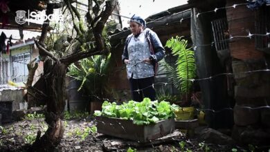 Beneficiaria del Proyecto Huertas Caseras- Sibaté