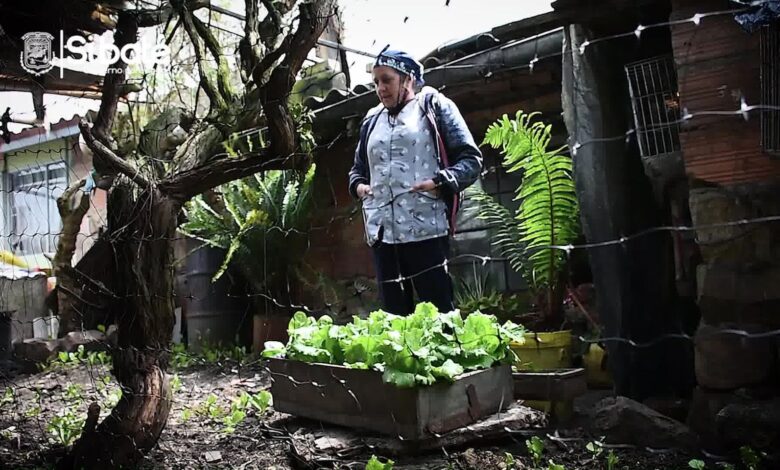 Beneficiaria del Proyecto Huertas Caseras- Sibaté