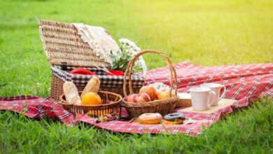 Picnic Familiar por la Educación - Cucinare.