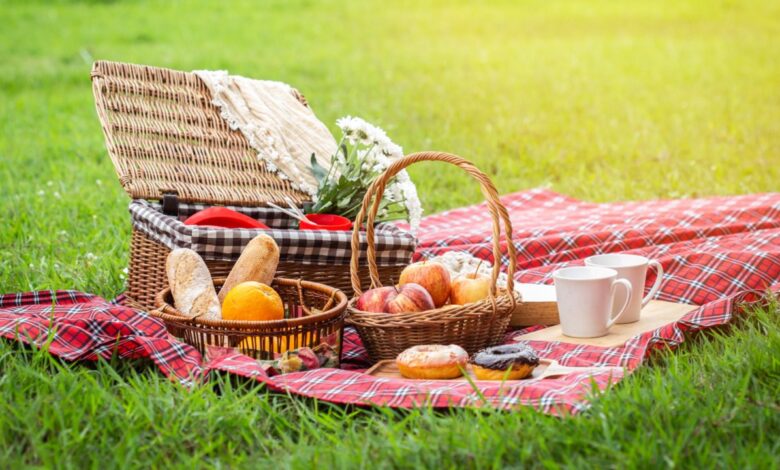 Picnic Familiar por la Educación - Cucinare.