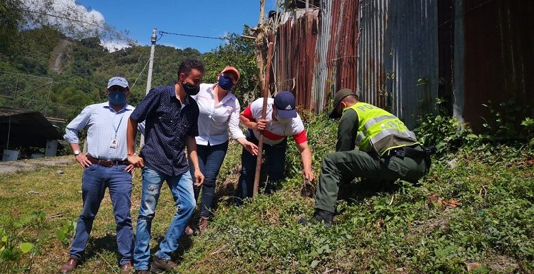 Siembras Cundinamarca