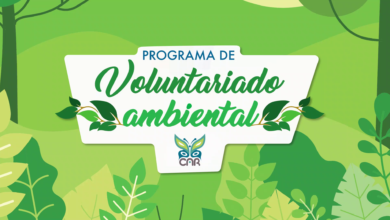 Voluntariado CAR