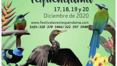 Festival de Aves Tequendama