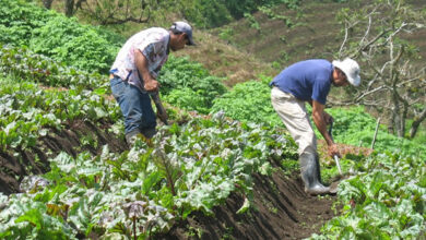 Agricultores-Periodismo Público.