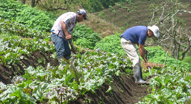 Agricultores-Periodismo Público.