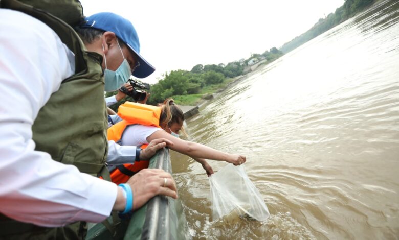 200 mil alevinos liberados en el Río Magdalena