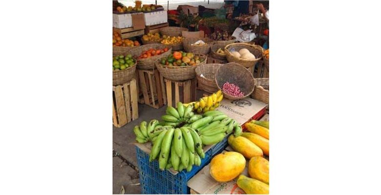 Banco de Alimentos Cundinamarca