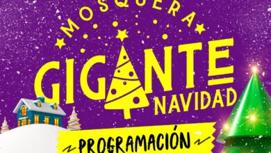 Actividades diciembre Mosquera