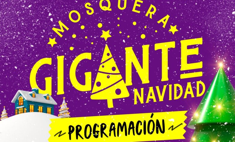 Actividades diciembre Mosquera