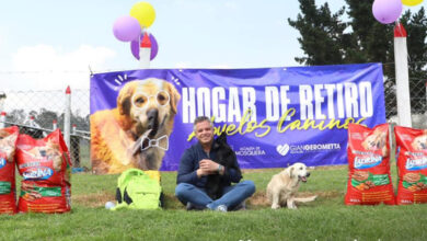 Hogar de retiro para abuelos caninos