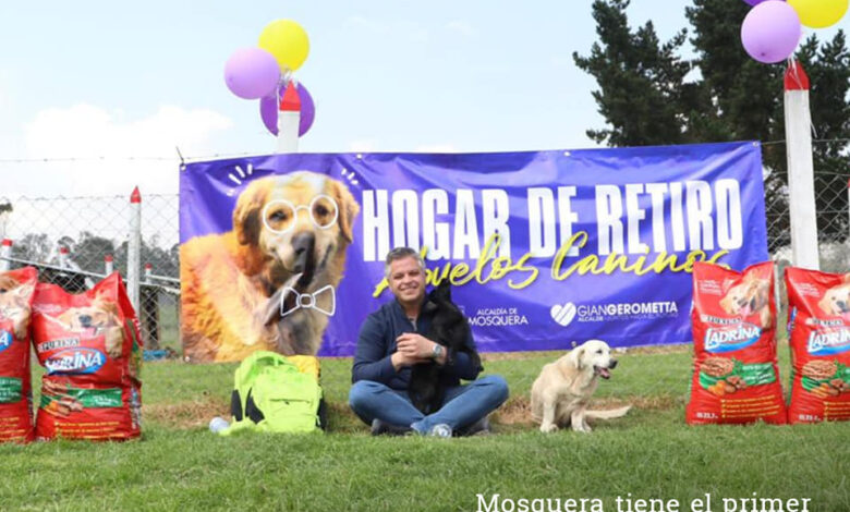 Hogar de retiro para abuelos caninos