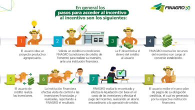 Desarrollo agropecuario La Mesa