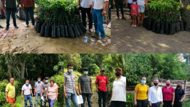 Entrega de 2.000 árboles frutales La Mesa