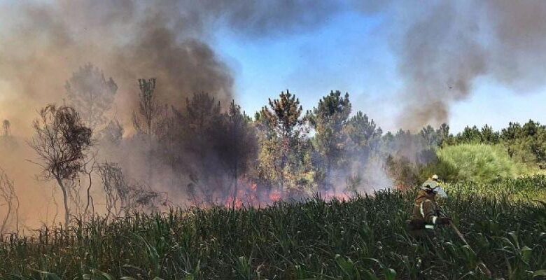 Prevención incendios Tenjo