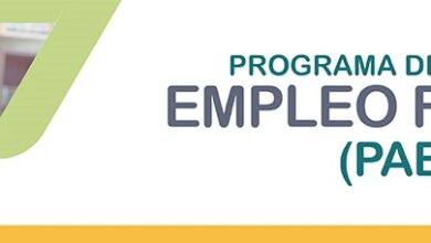 Programa de Apoyo al Empleo Formal