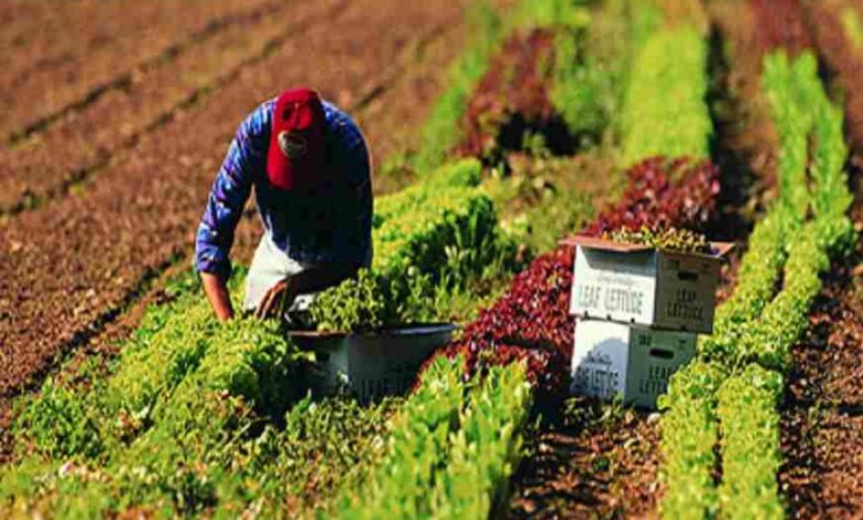 Imagen tomada de Mundo Agropecuario.