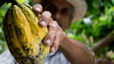 Inversión para pequeños y medianos productores