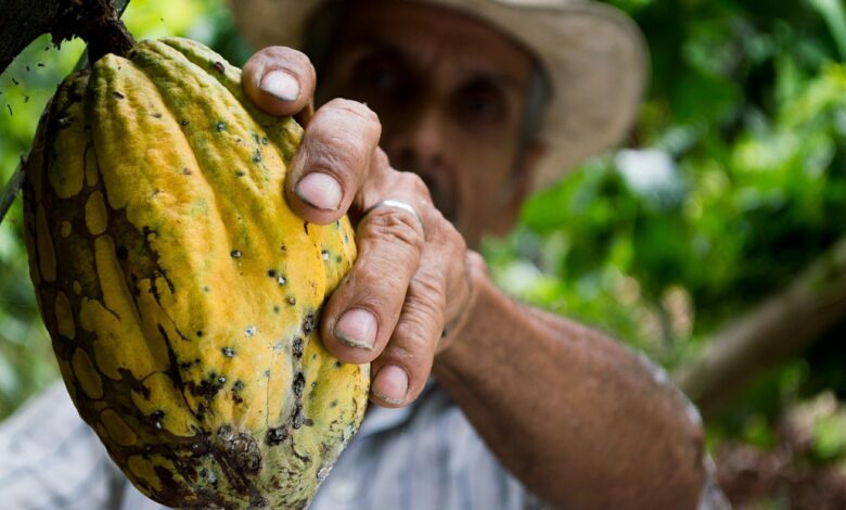 Inversión para pequeños y medianos productores