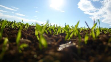 Ayudas para el campo cundinamarqués