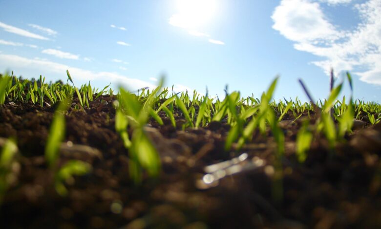 Ayudas para el campo cundinamarqués