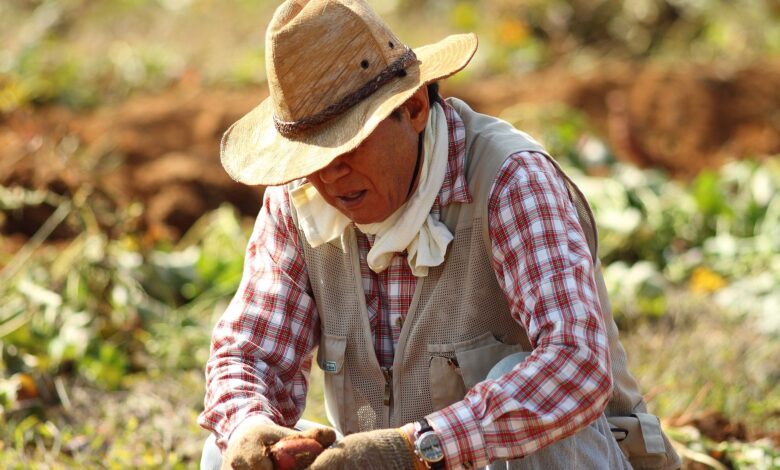 Comité Permanente de Estratificación Socioeconómica