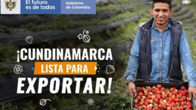 Cundinamarca Lista para Exportar 2021