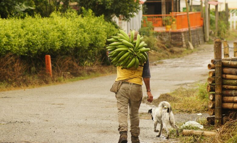 Restitución de tierras Cundinamarca