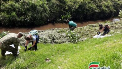 recuperación de las fuentes hídricas