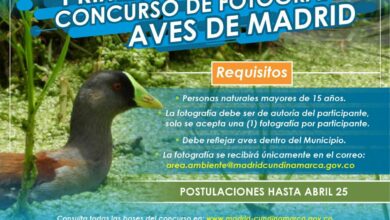 concurso de aves en Madrid