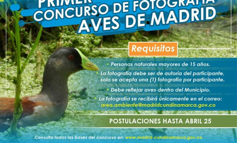 concurso de aves en Madrid