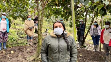 Asistencia técnica a Zomac