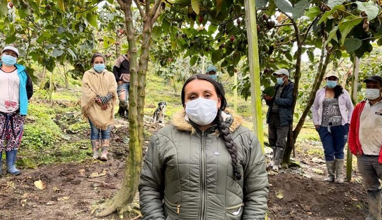 Asistencia técnica a Zomac