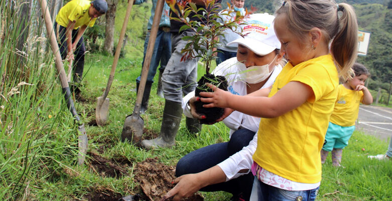 1.500 árboles para escuelas de Junín