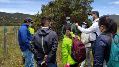 recuperación ambiental Cundinamarca