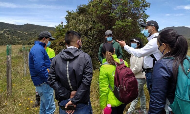 recuperación ambiental Cundinamarca