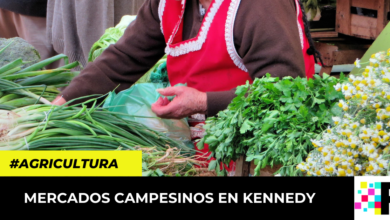 Mercados campesinos