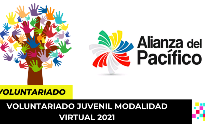 Voluntariado Juvenil Modalidad Virtual 2021