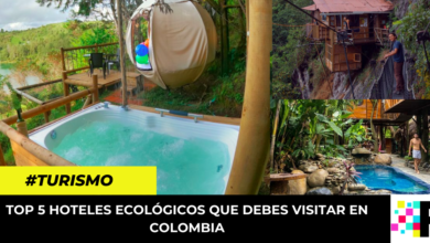 Top 5 hoteles ecológicos que debes visitar en Colombia