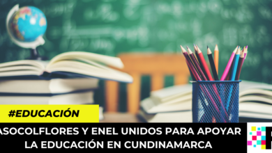 apoyar la educación en Cundinamarca