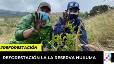 reforestación la la Reserva Nukuma