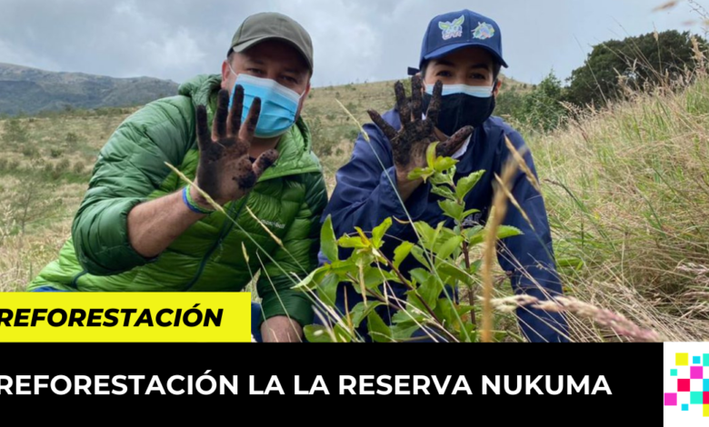 reforestación la la Reserva Nukuma