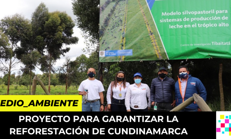 garantizar la reforestación de Cundinamarca