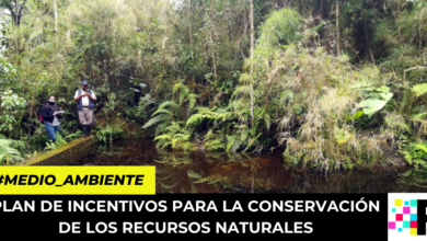 plan de incentivos para la conservación de los recursos naturales