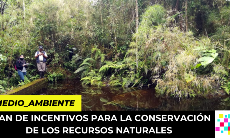 plan de incentivos para la conservación de los recursos naturales