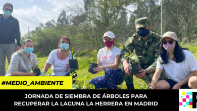 jornada de siembra de árboles para recuperar la laguna La Herrera