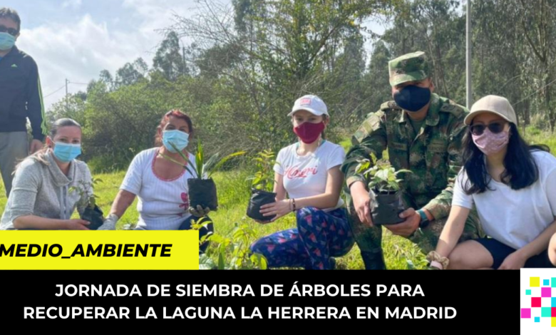 jornada de siembra de árboles para recuperar la laguna La Herrera